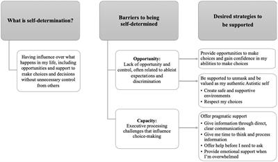 Toward understanding and enhancing self-determination: a qualitative exploration with autistic adults without co-occurring intellectual disability